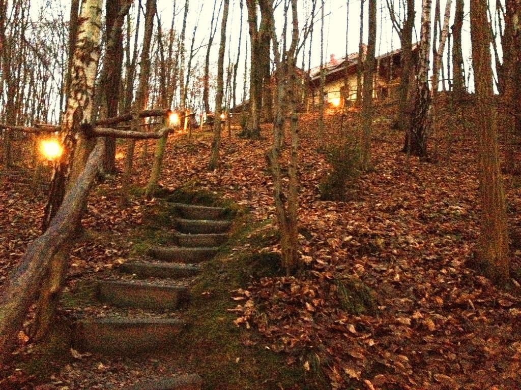 Villa Osrodek Kwaskowa à Kazimierz Dolny Extérieur photo