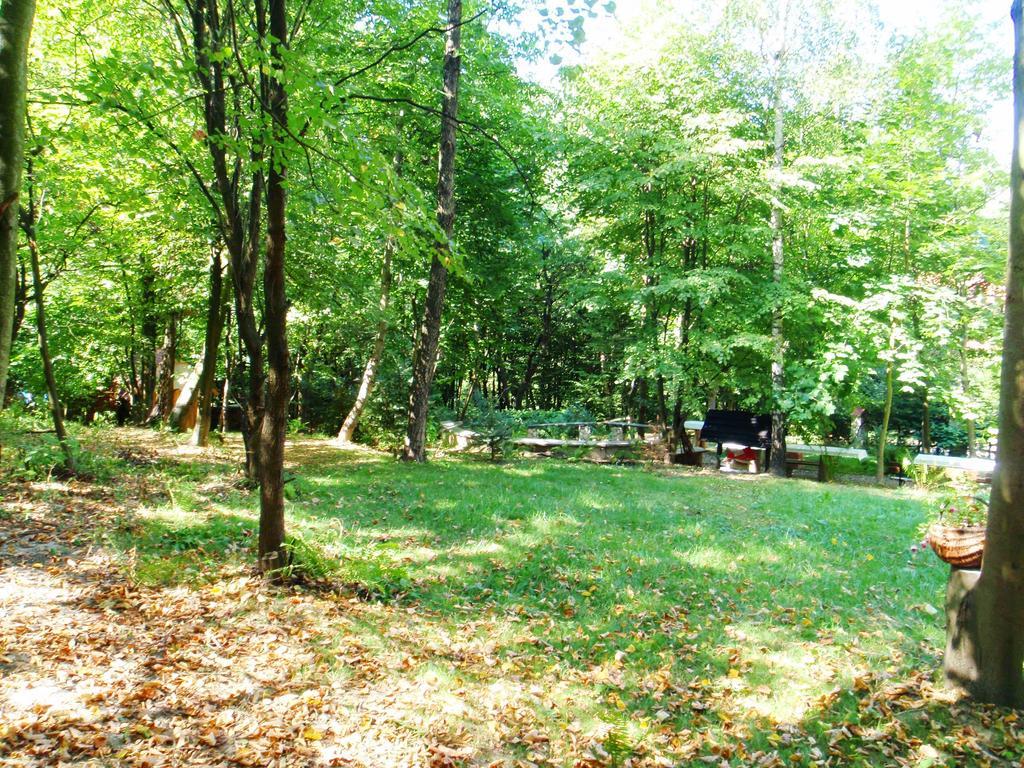 Villa Osrodek Kwaskowa à Kazimierz Dolny Extérieur photo