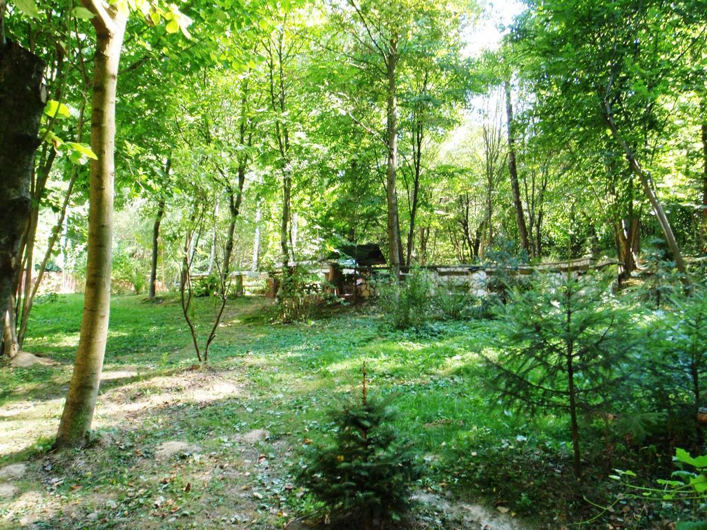 Villa Osrodek Kwaskowa à Kazimierz Dolny Extérieur photo