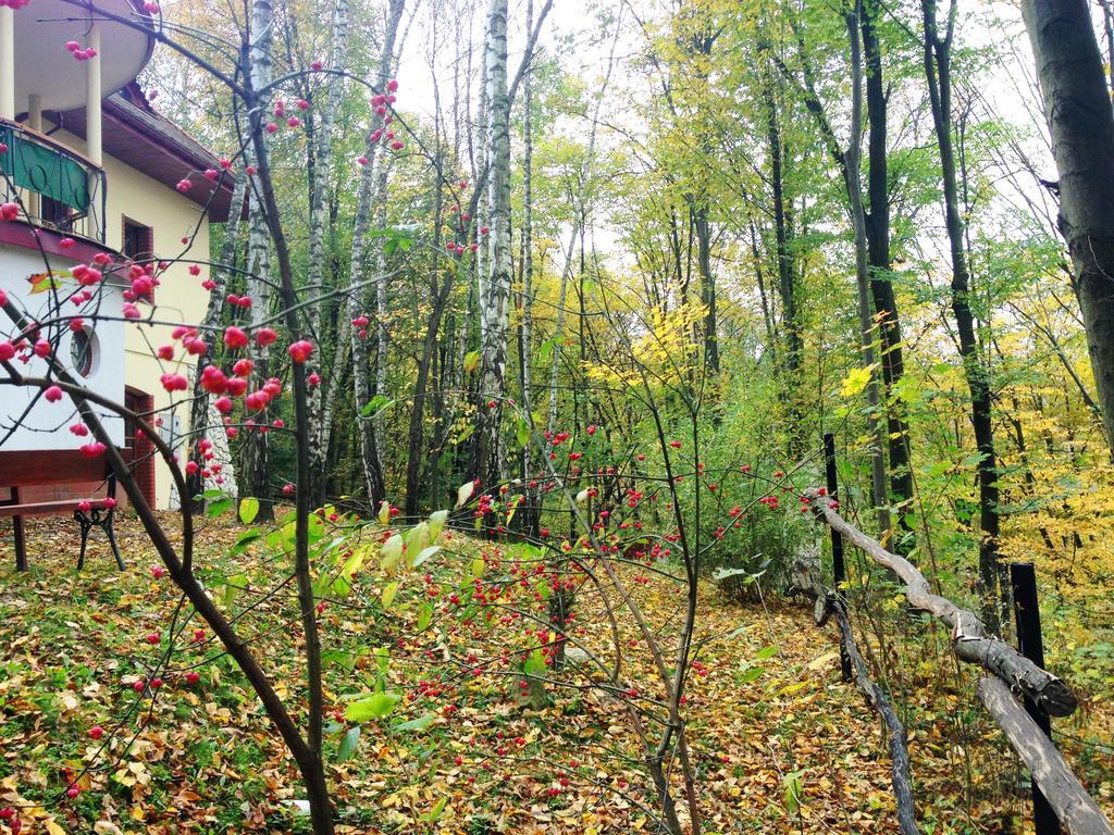 Villa Osrodek Kwaskowa à Kazimierz Dolny Extérieur photo