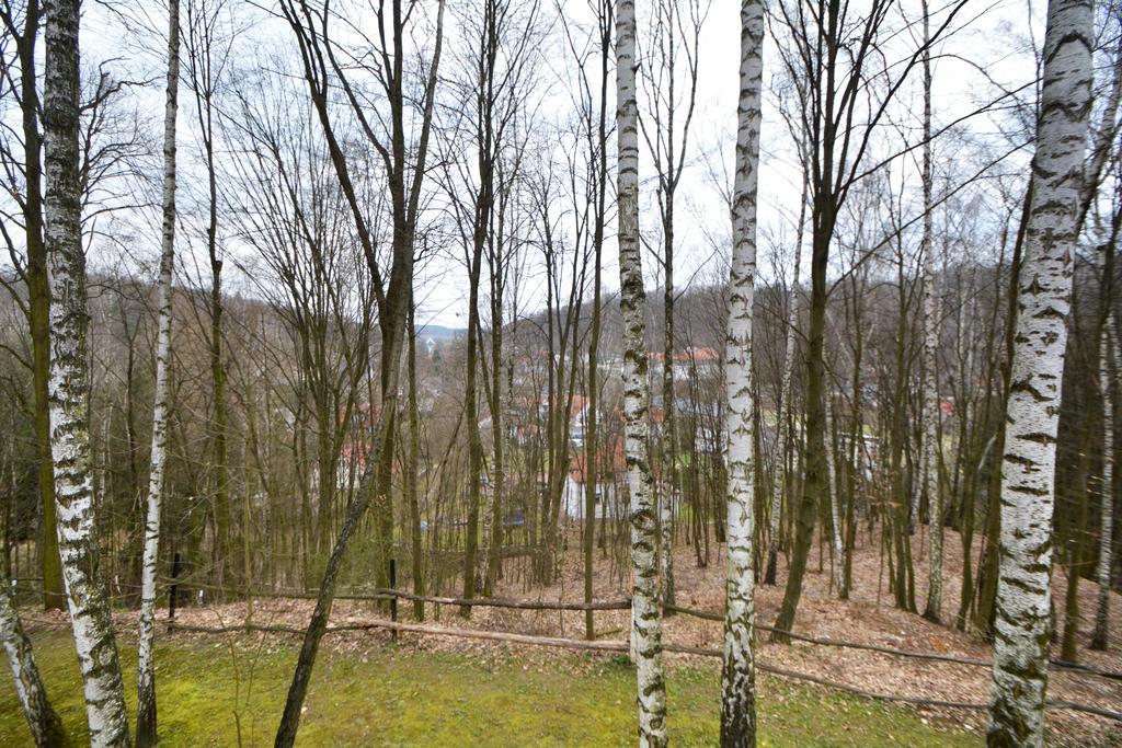 Villa Osrodek Kwaskowa à Kazimierz Dolny Extérieur photo